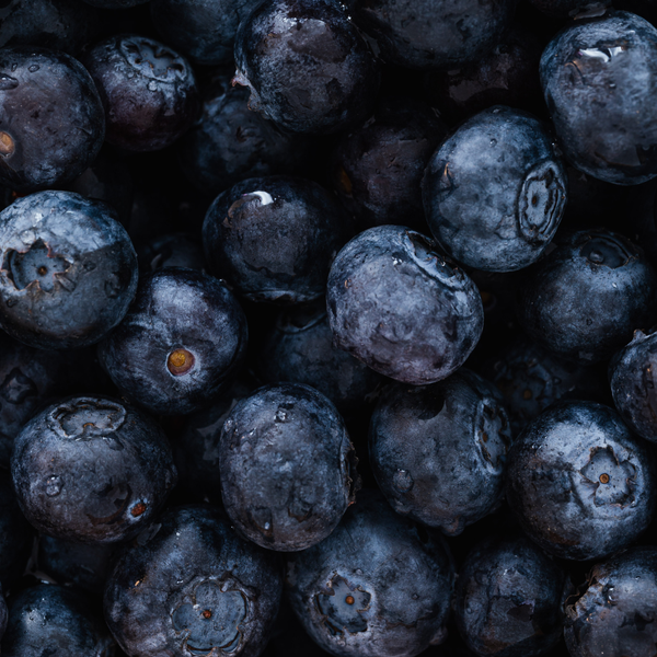 FREEZE DRIED BLUEBERRIES