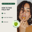 Field Trip