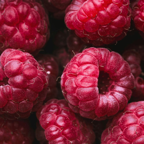 Antioxidants